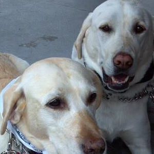 Meet your Posher, Debra